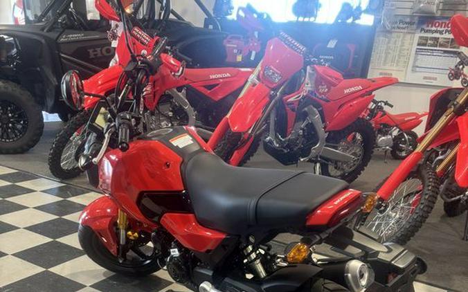 2025 Honda® Grom