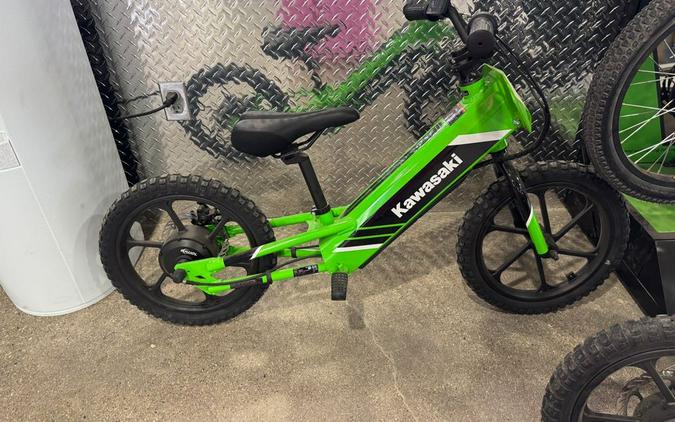 2025 Kawasaki ELEKTRODE 16