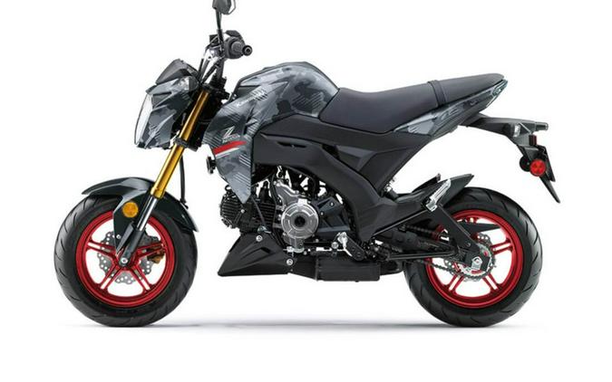 2024 Kawasaki Z125 PRO Base