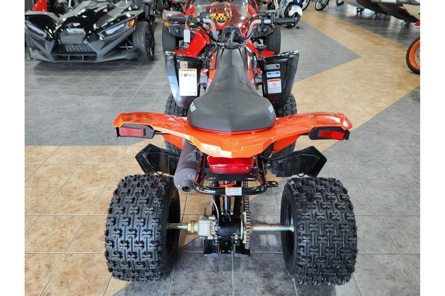 2026 Can-Am DS 250