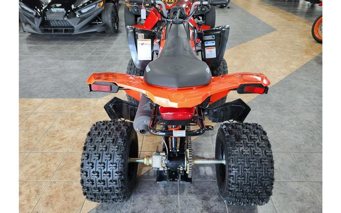 2026 Can-Am DS 250