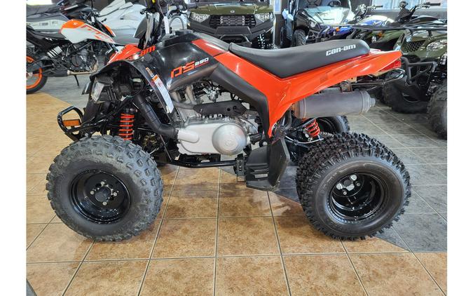 2026 Can-Am DS 250