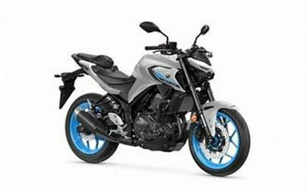 2025 Yamaha MT 03
