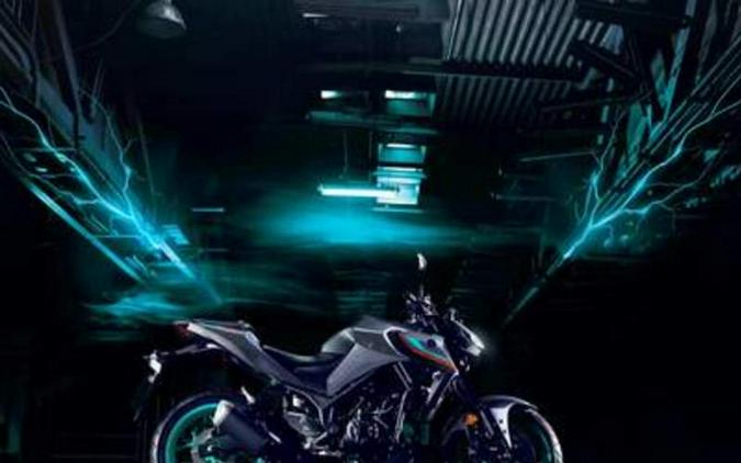 2024 Yamaha MT-03