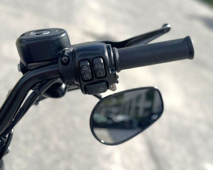2018 Harley-Davidson XL883N - Sportster Iron 883