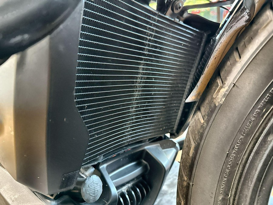2026 Harley-Davidson® Nightster® Vivid Black Black Trim