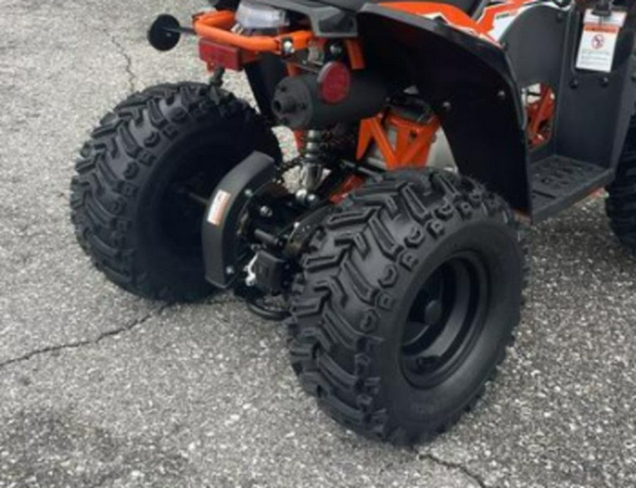 2025 Kayo Fox / Storm 70