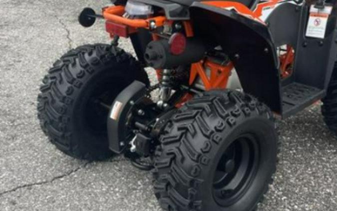 2025 Kayo Fox / Storm 70