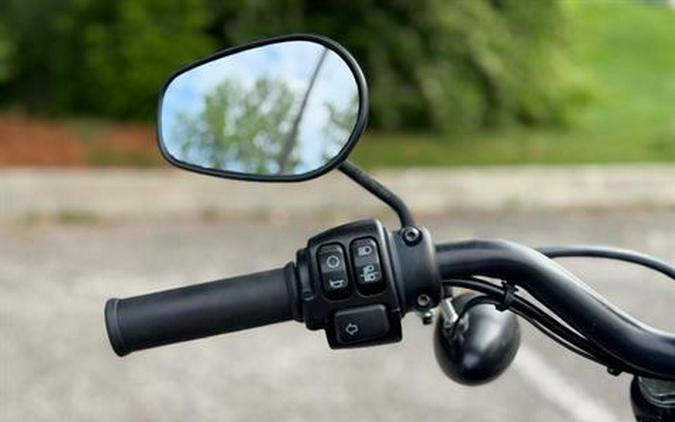 2022 Harley-Davidson Iron 883™