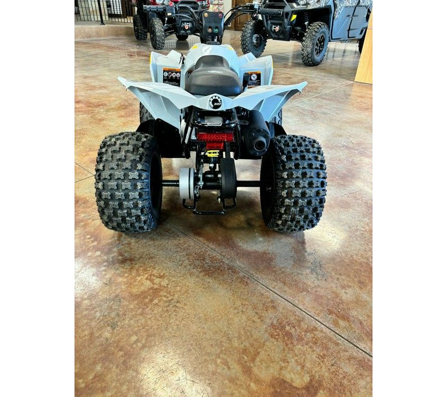 2024 Can-Am® Renegade 110 EFI