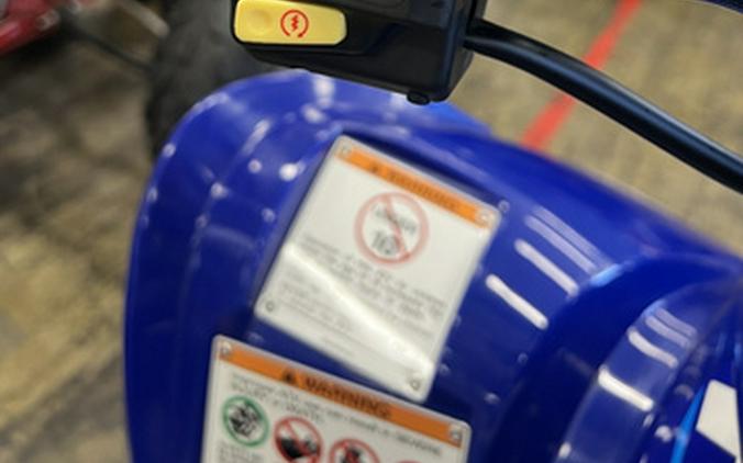 2026 Yamaha Raptor 110