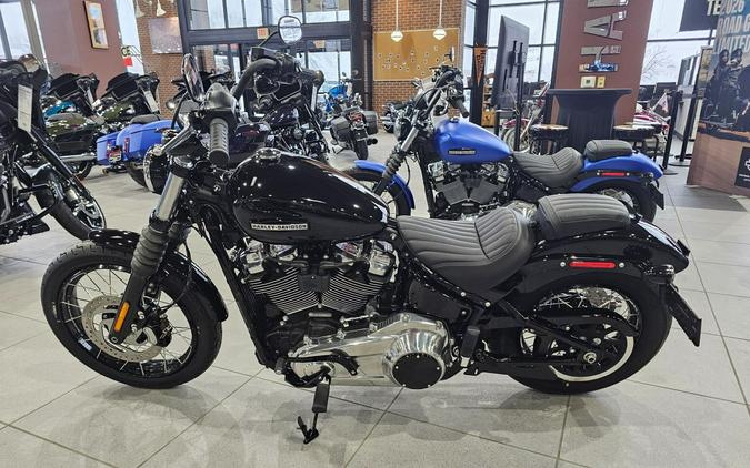 2026 Harley-Davidson Street Bob®