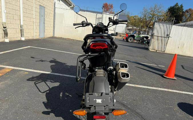 2022 Indian Motorcycle FTR Rally
