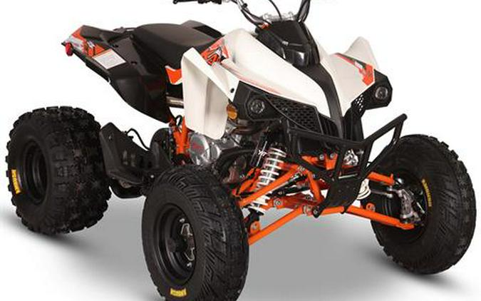 2026 Kayo Storm 300 EFI