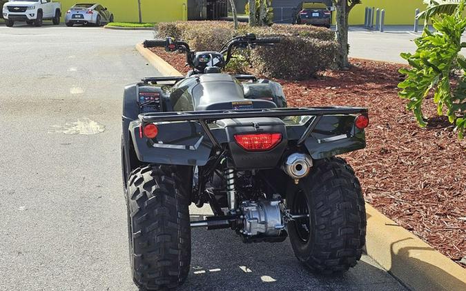 2024 Honda FourTrax Recon