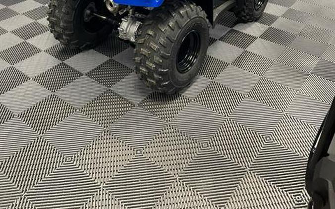 2023 Honda FourTrax Recon