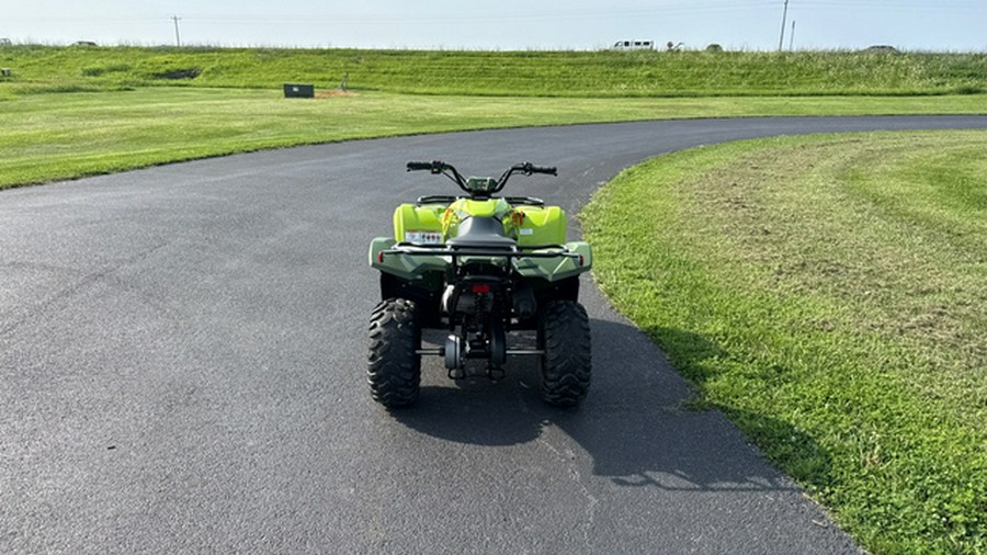 2026 Yamaha Grizzly 110