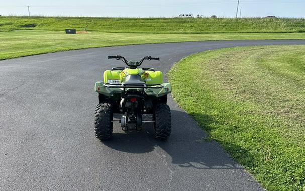 2026 Yamaha Grizzly 110
