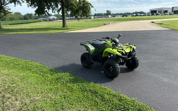 2026 Yamaha Grizzly 110