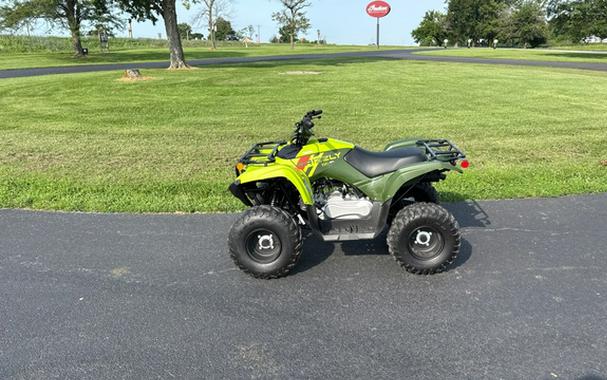 2026 Yamaha Grizzly 110