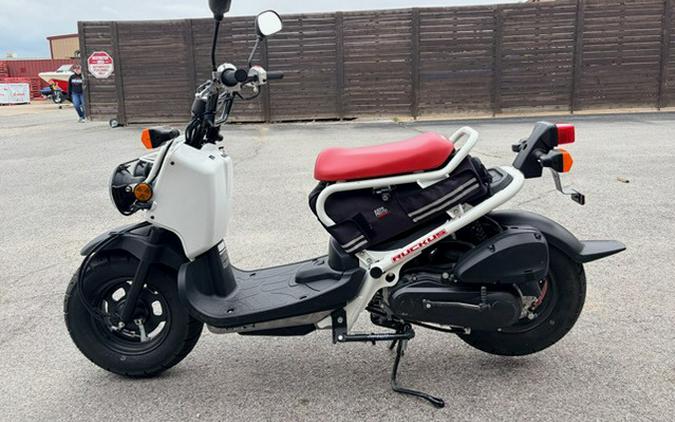 2019 Ruckus - Honda
