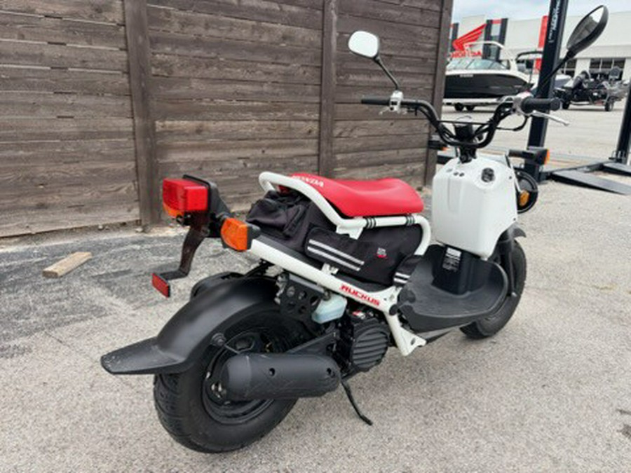 2019 Honda Ruckus