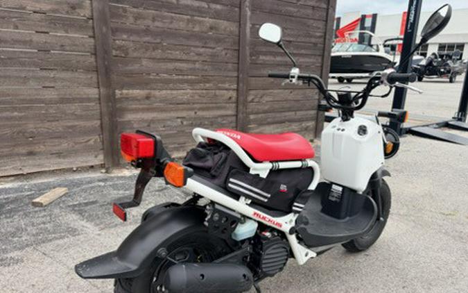 2019 Ruckus - Honda