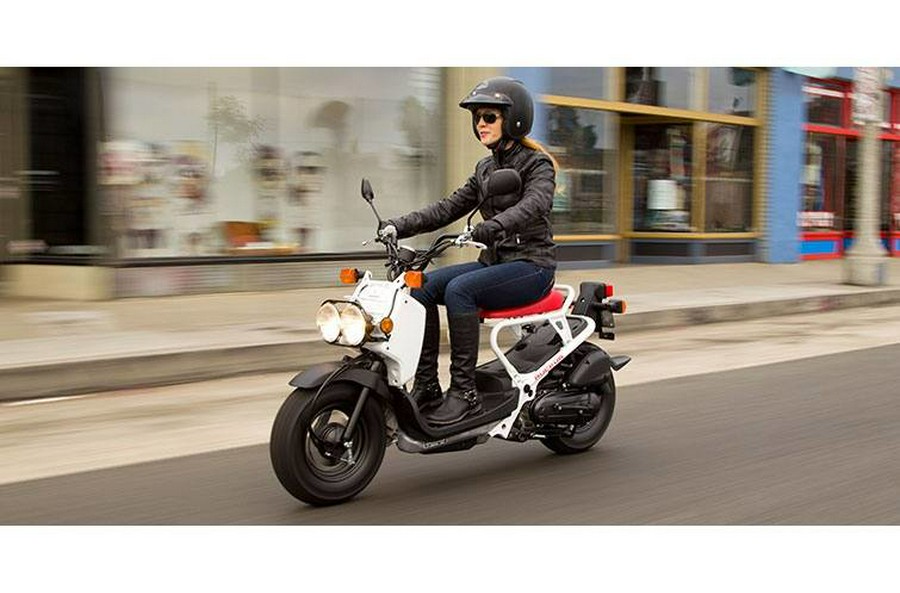 2019 Ruckus - Honda