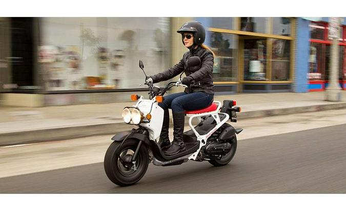 2019 Ruckus - Honda