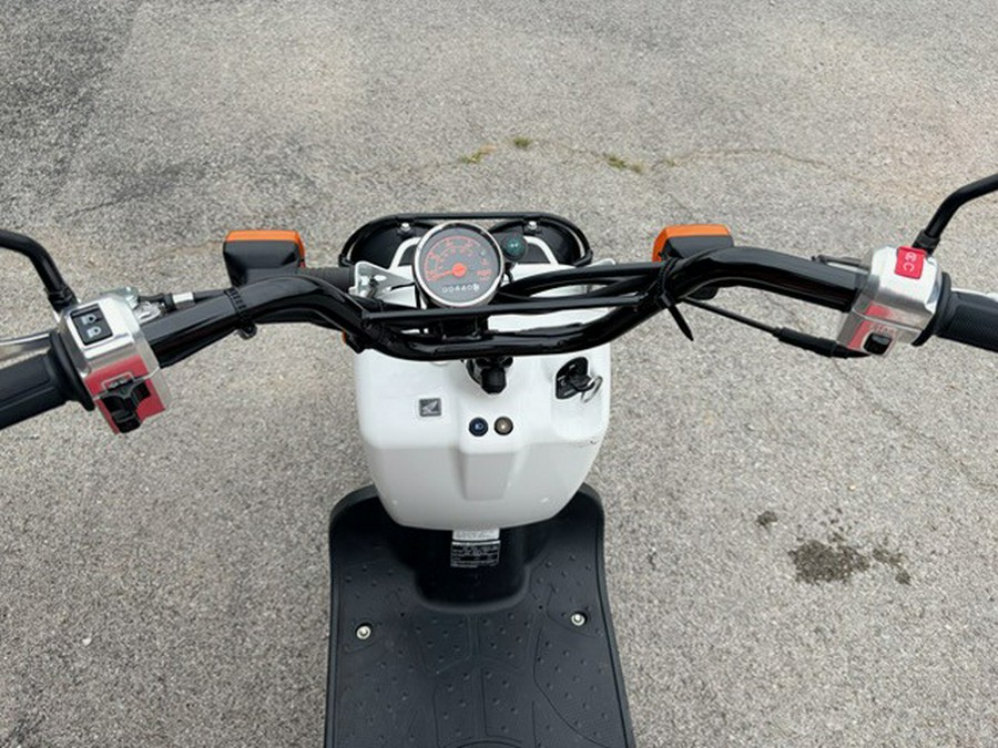 2019 Honda Ruckus