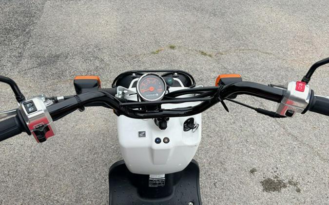 2019 Ruckus - Honda