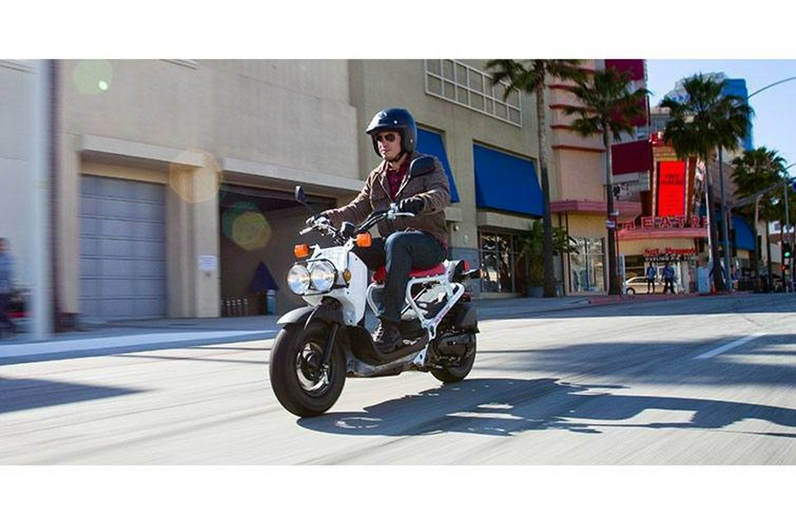 2019 Ruckus - Honda