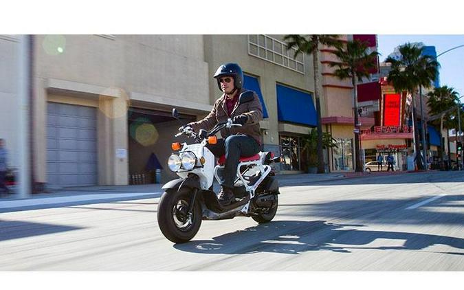 2019 Ruckus - Honda