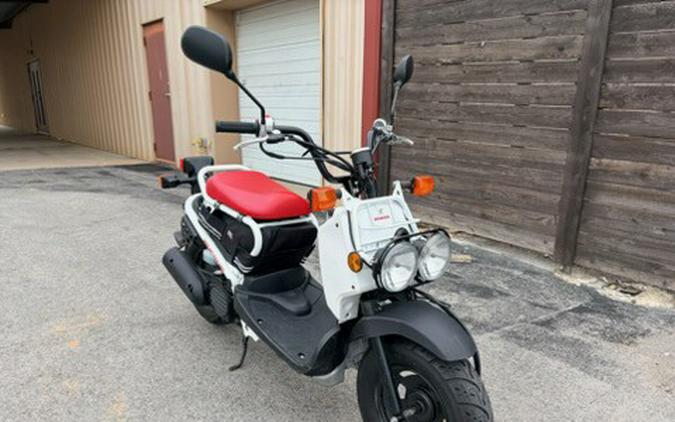 2019 Ruckus - Honda