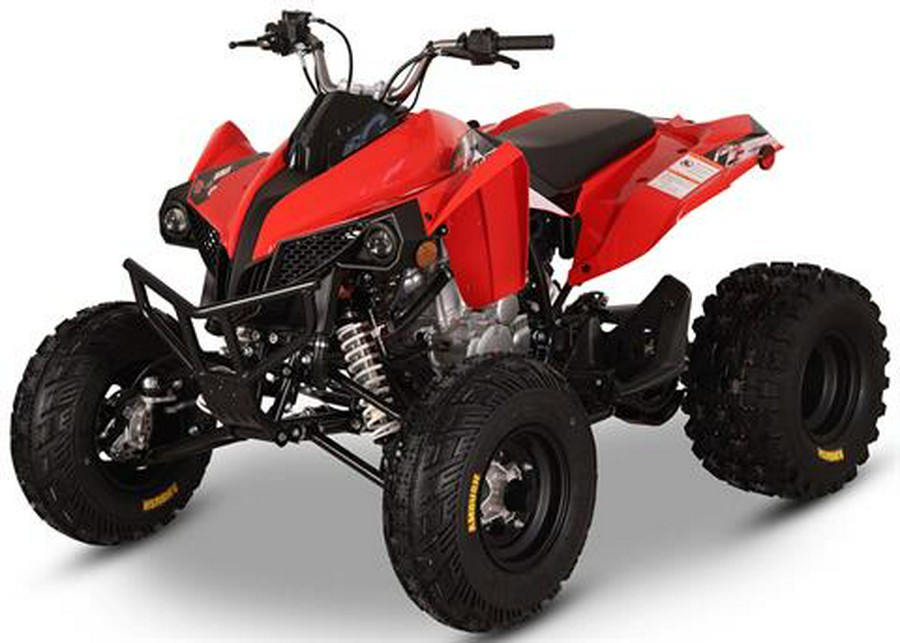 2026 Kayo Storm 300 EFI