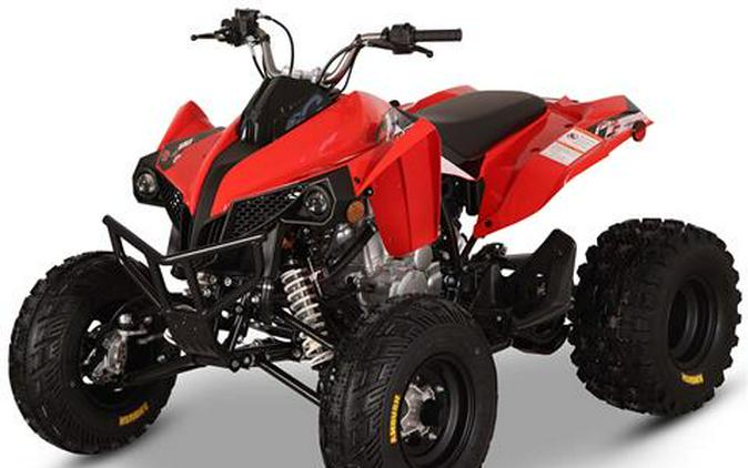 2026 Kayo Storm 300 EFI