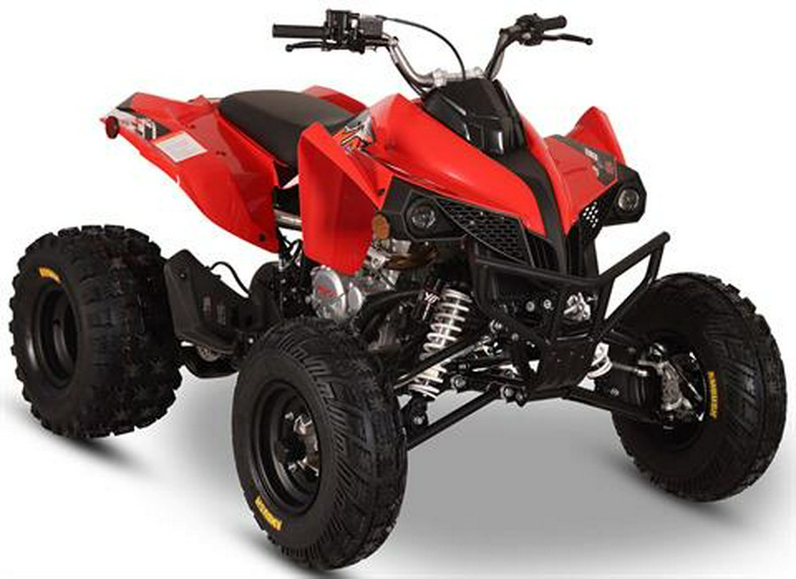 2026 Kayo Storm 300 EFI