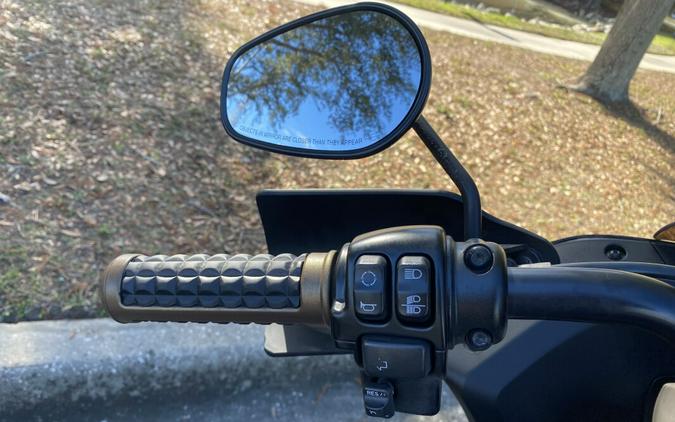 2023 Harley-Davidson® Low Rider® ST FXLRST