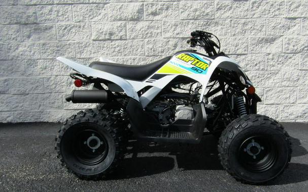 2023 Yamaha Raptor 90