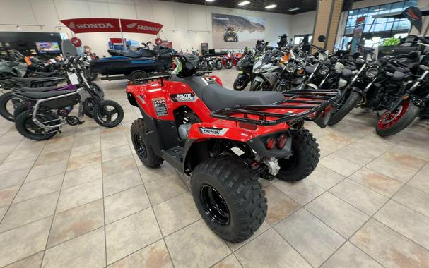 2026 Kawasaki BRUTE FORCE 300