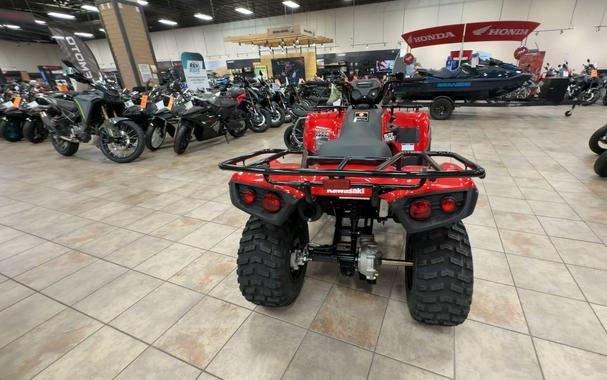 2026 Kawasaki BRUTE FORCE 300
