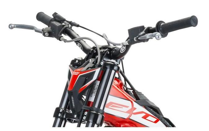 2022 Beta Motorcycles EVO 300 4-Stroke