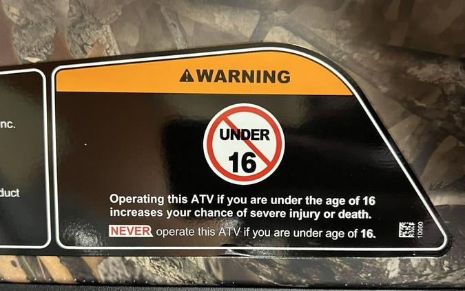 2025 Can-Am® Outlander DPS 500 Wildland Camo