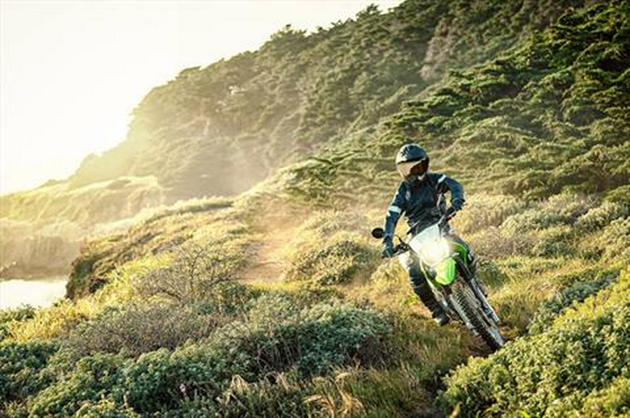 2021 Kawasaki KLX 230