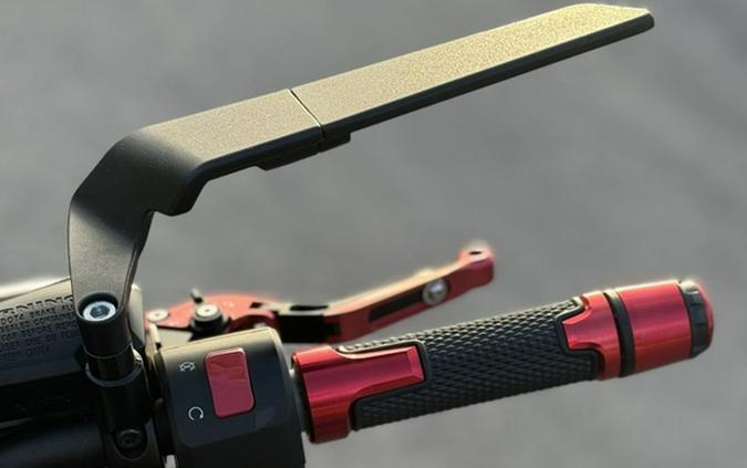 2023 Kawasaki Z900 ABS Metallic Black/Graphite Gray/Flat Black