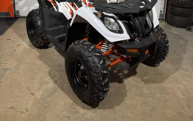 2026 Kayo Bull 300 EFI