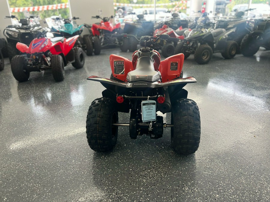 2024 Honda TRX90X