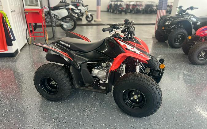 2024 Honda TRX90X