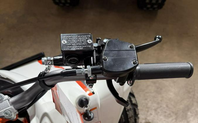 2026 Kayo Storm 300 EFI