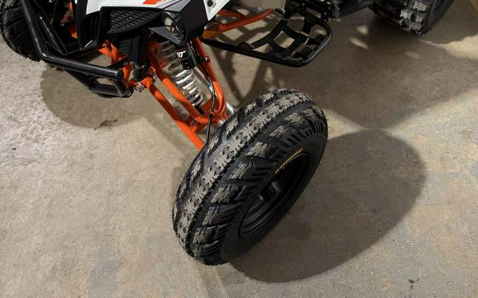2026 Kayo Storm 300 EFI